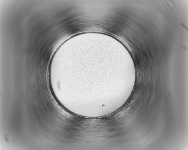 X0000094971387200712271732