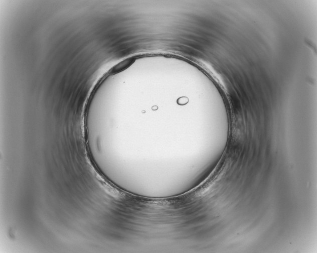 X0000094971388200712271732