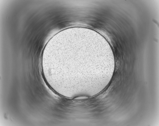 X0000094971391200712271732