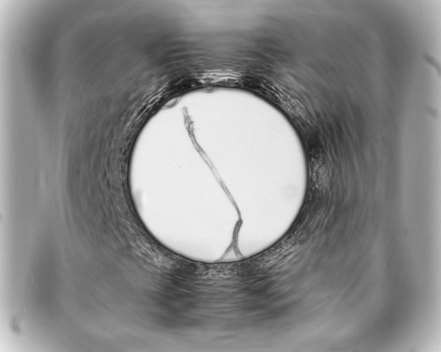 X0000094971393200712271731