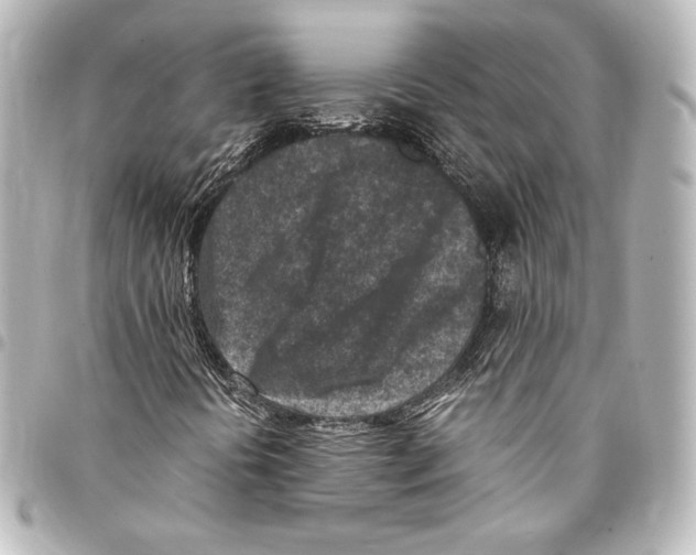 X0000094971394200712271731