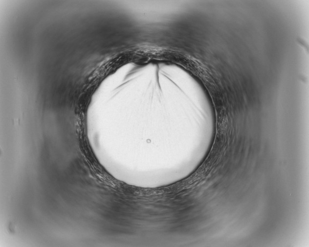 X0000094971397200712271731