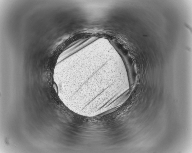 X0000094971398200712271732