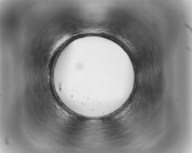 X0000094971406200712271732