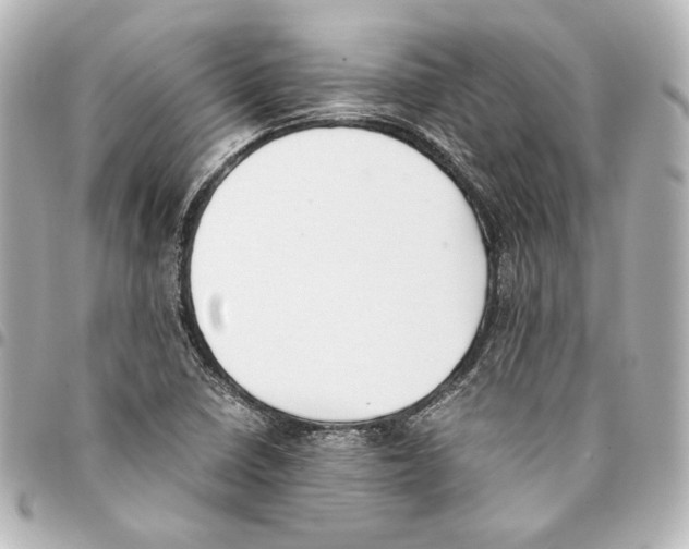 X0000094971410200712271732