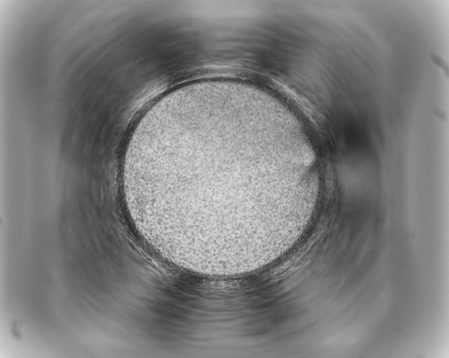 X0000094971411200712271732