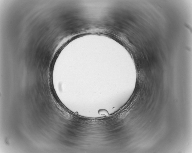 X0000094971412200712271732