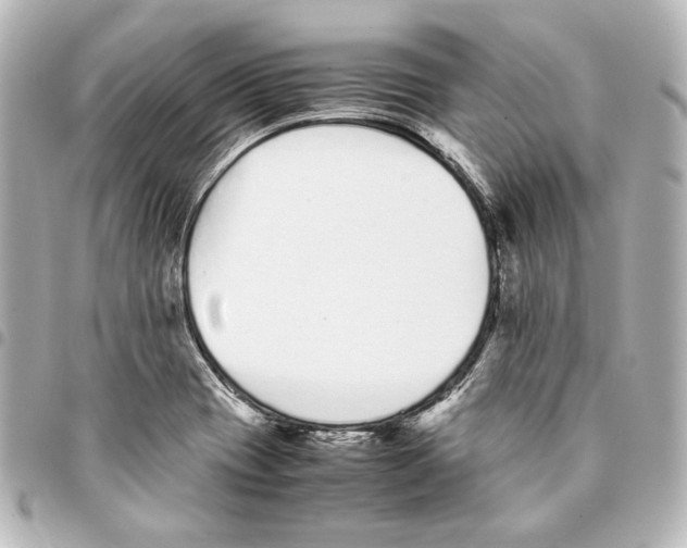 X0000094971417200712271732