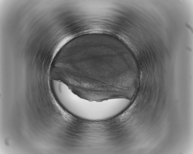 X0000094971418200712271732