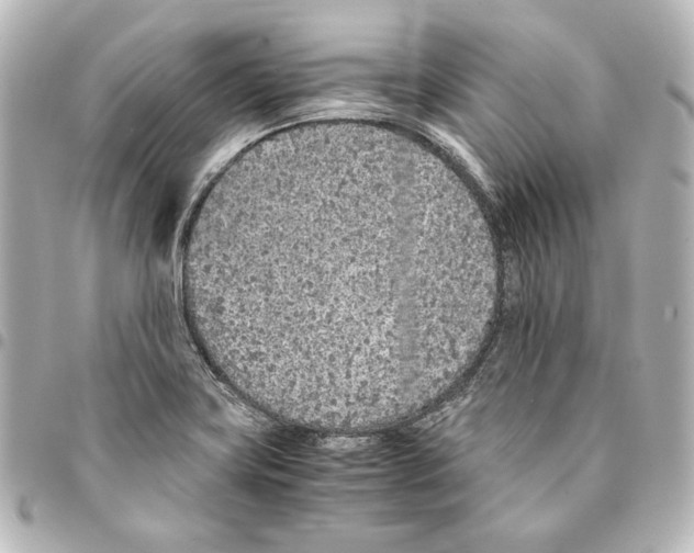 X0000094971419200712271732