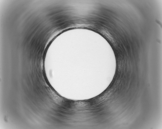 X0000094971420200712271732