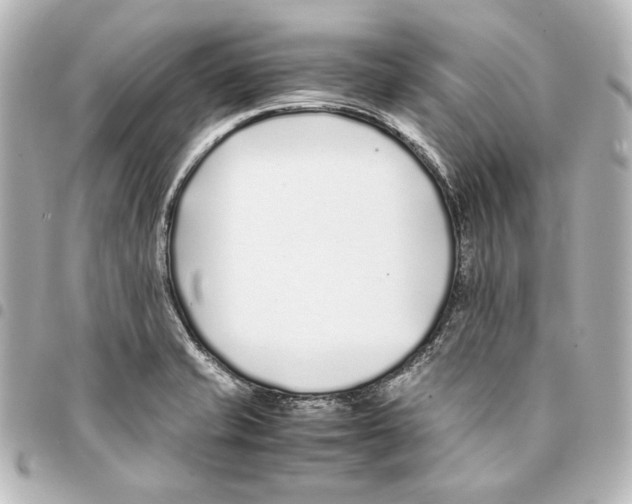 X0000094971421200712271732