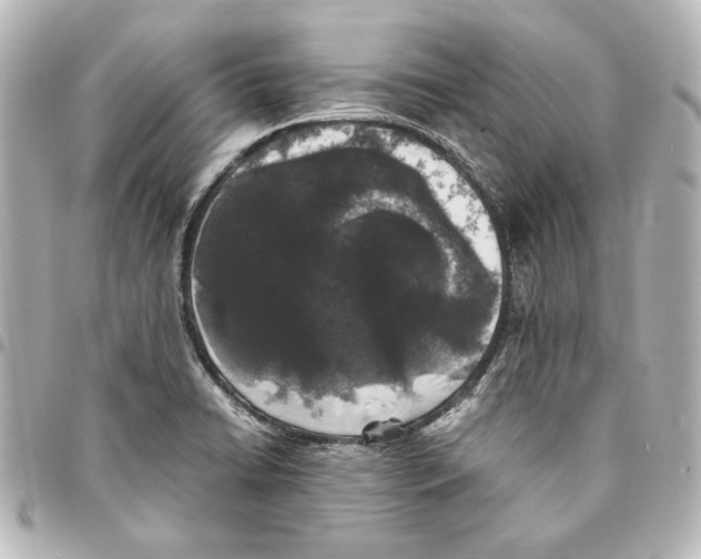 X0000094971422200712271732