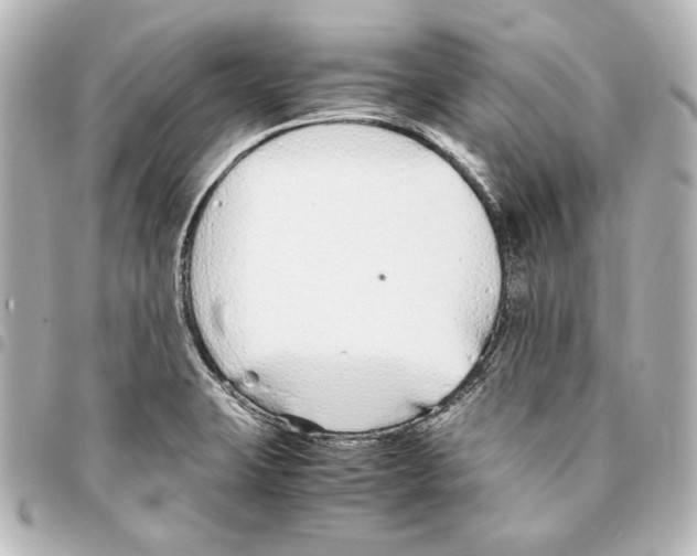 X0000094971423200712271732