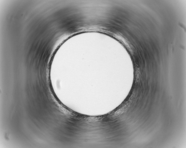 X0000094971424200712271732