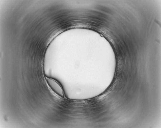 X0000094971425200712271732