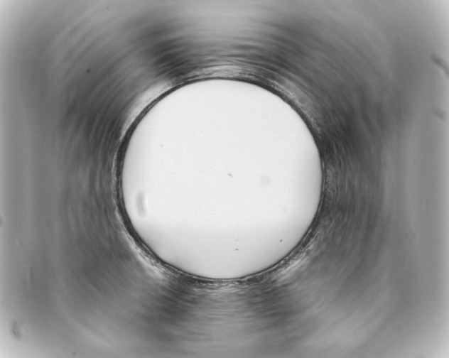 X0000094971426200712271732