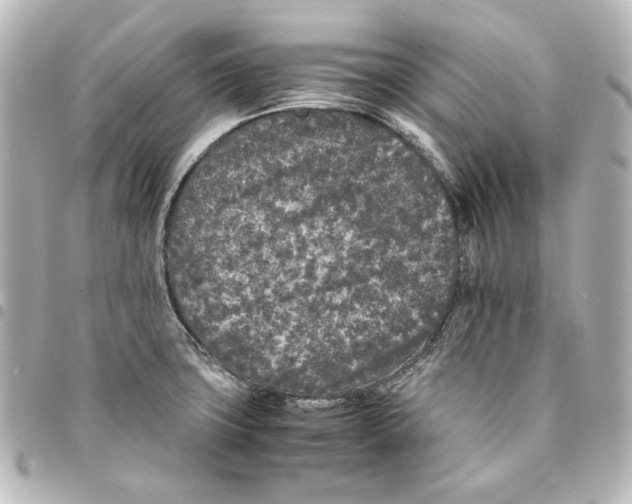 X0000094971427200712271732