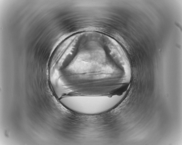 X0000094971428200712271732