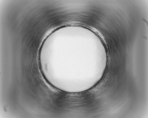 X0000094971429200712271732