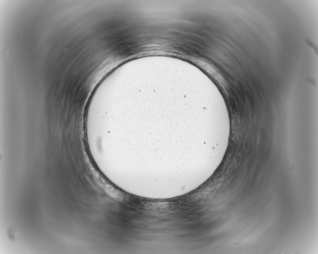 X0000094971431200712271732