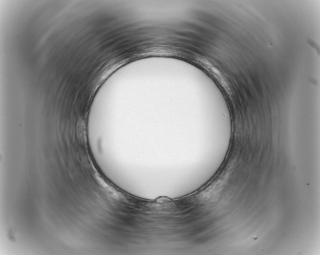 X0000094971433200712271732