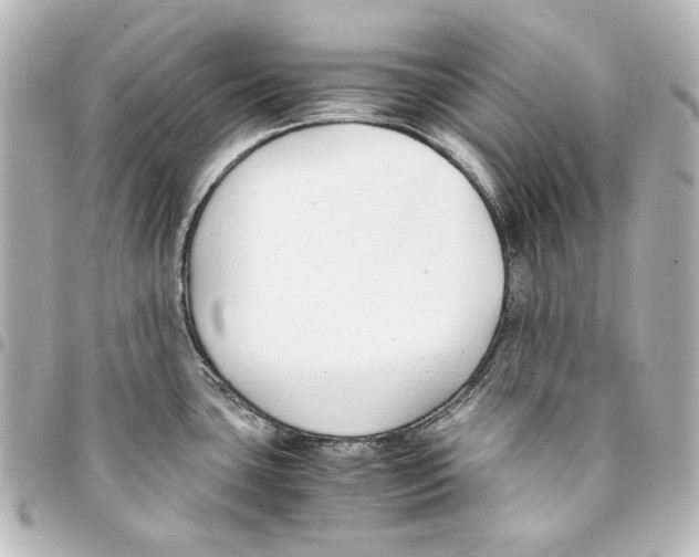 X0000094971435200712271732