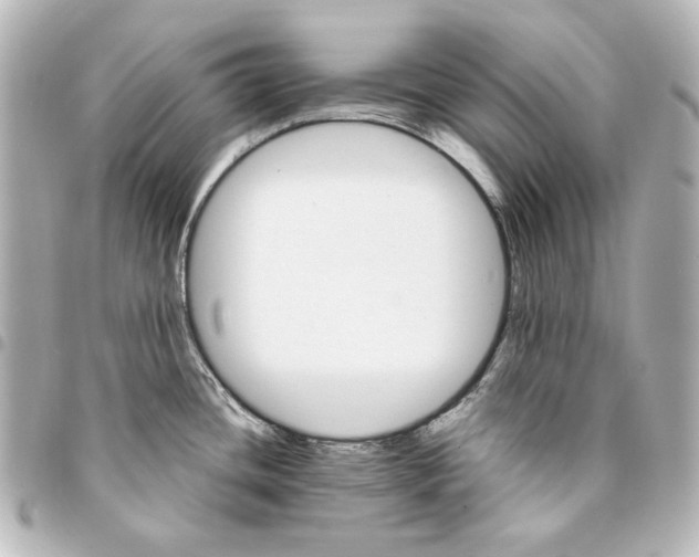 X0000094971436200712271732