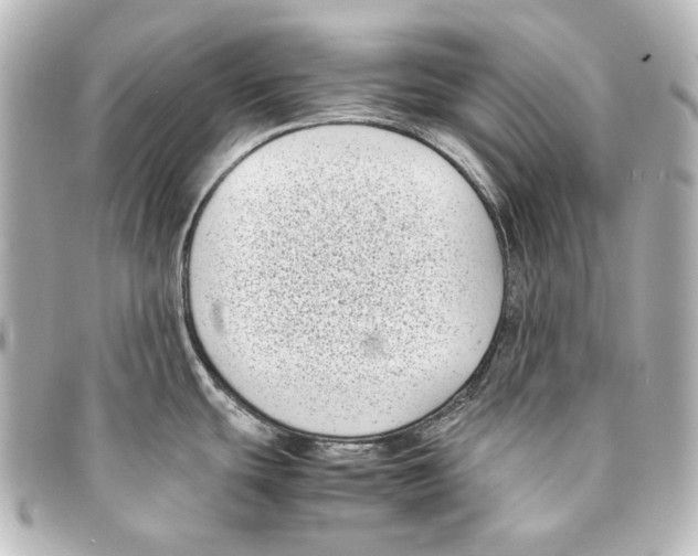 X0000094971439200712271732