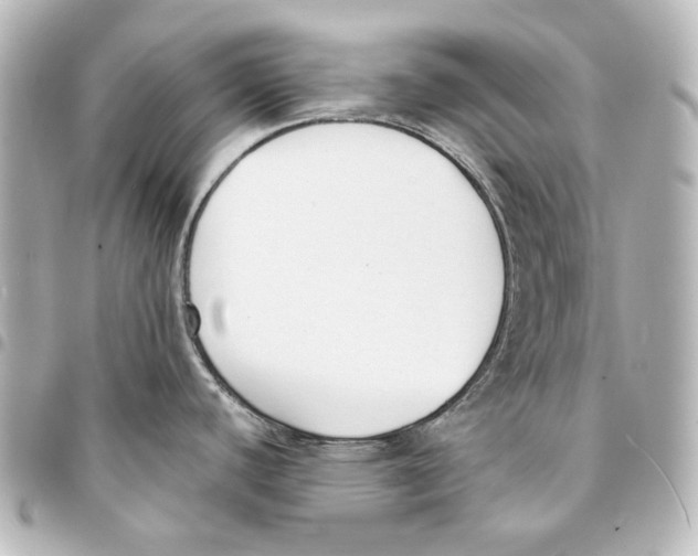 X0000094971440200712271732