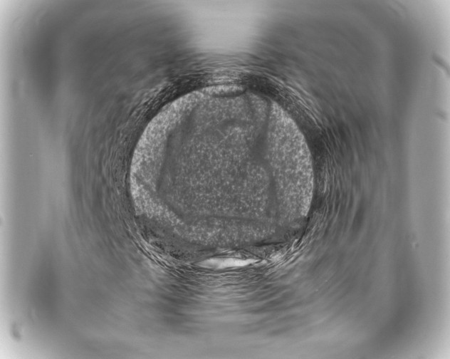 X0000094971441200712271731