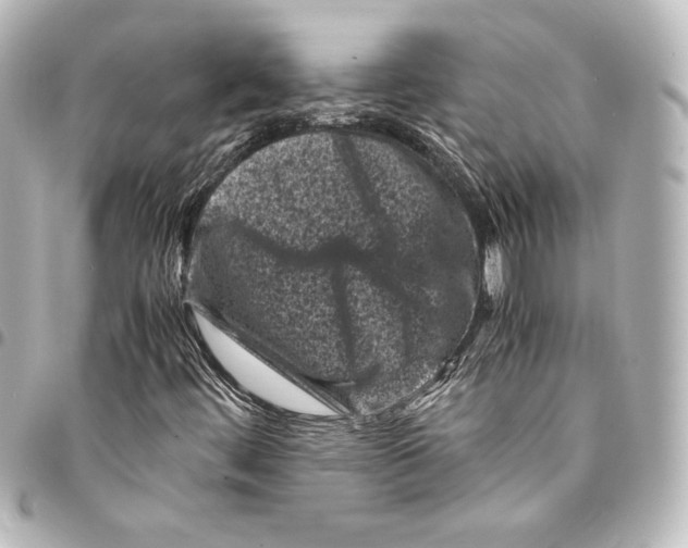 X0000094971444200712271731