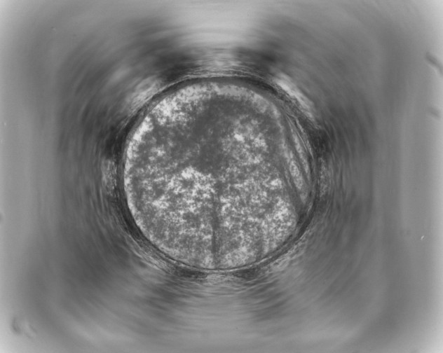 X0000094971449200712271731