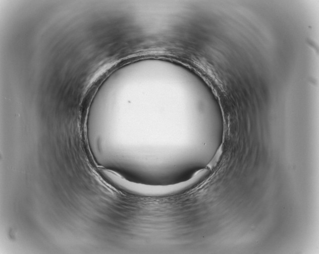 X0000094971452200712271731