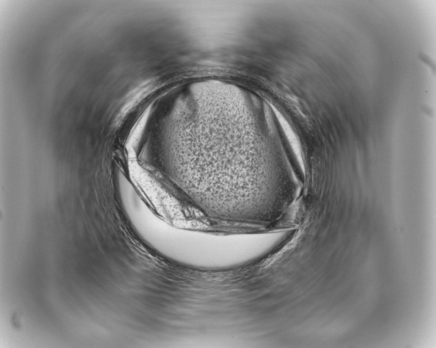 X0000094971453200712271731