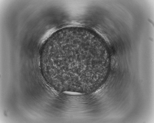 X0000094971455200712271731