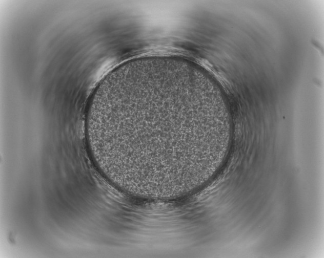 X0000094971459200712271731