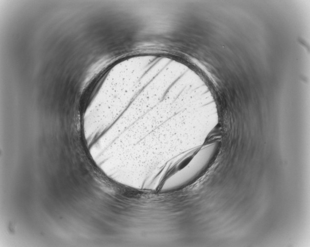 X0000094971461200712271731