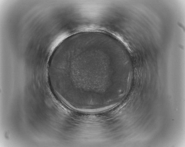 X0000094971463200712271731