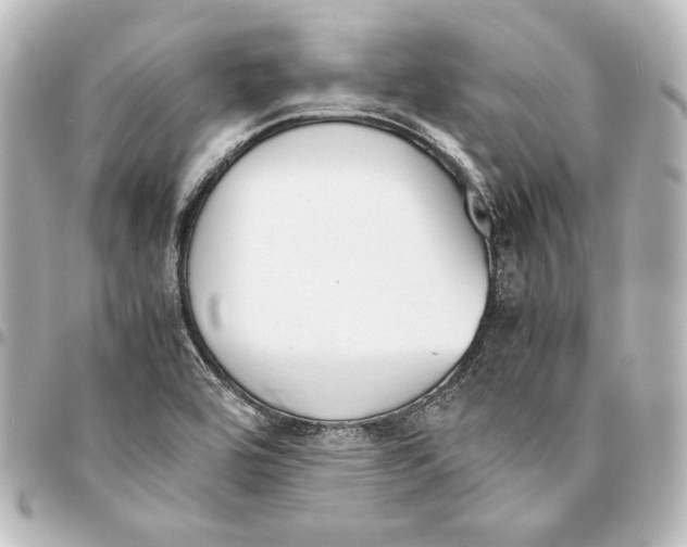 X0000094971464200712271731