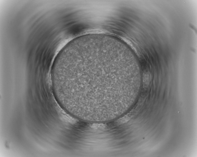 X0000094971466200712271731