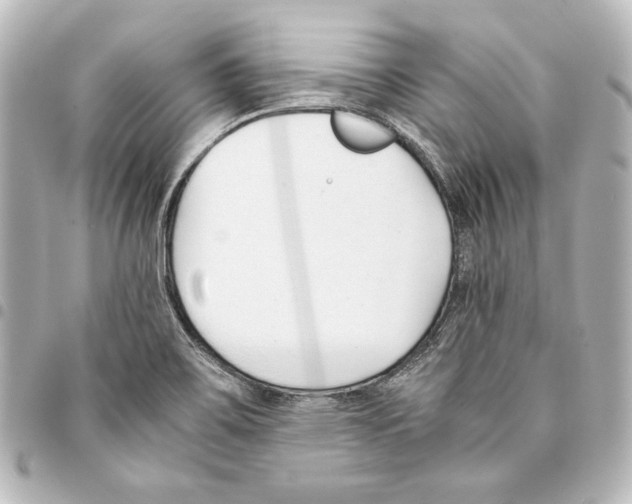 X0000094971467200712271731