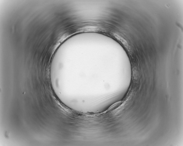 X0000094971473200712271731