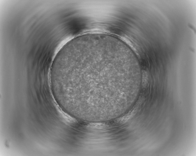 X0000094971474200712271731