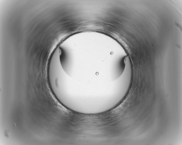 X0000094971477200712271731