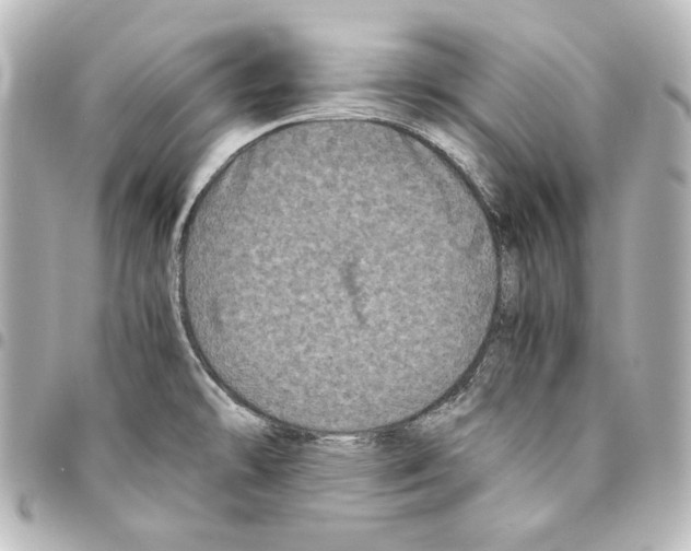 X0000094971478200712271731