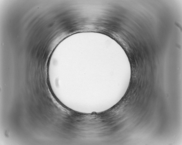 X0000094971479200712271731