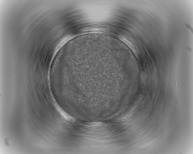 X0000094971482200712271731