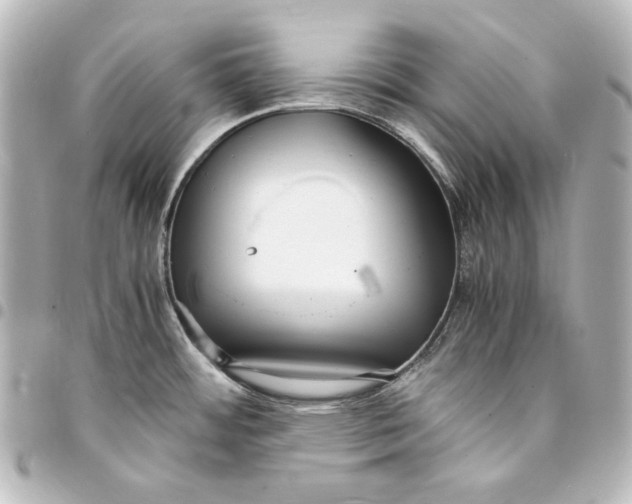 X0000094971484200712271731