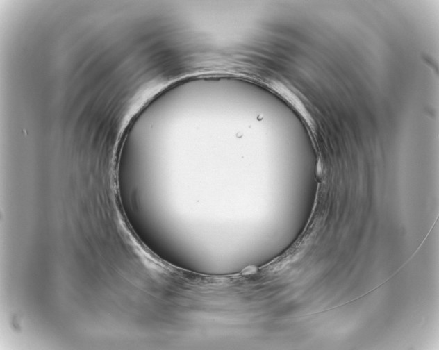 X0000094971485200712271731